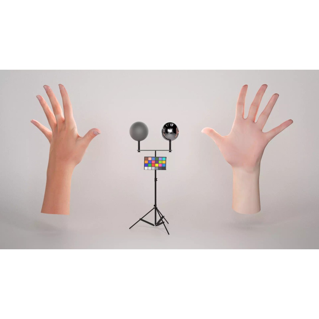Female Hand 3D Model – Low Poly Realistic Asset, FBX & OBJ Formats - View 2