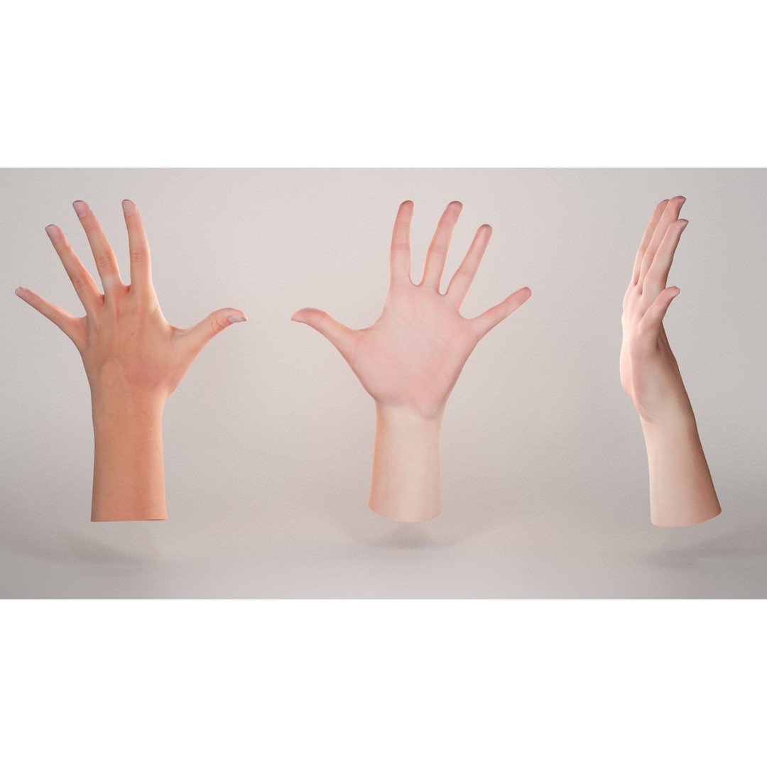 Female Hand 3D Model – Low Poly Realistic Asset, FBX & OBJ Formats - View 4