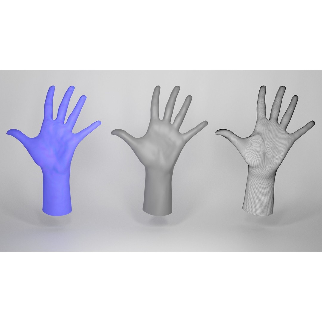 Female Hand 3D Model – Low Poly Realistic Asset, FBX & OBJ Formats - View 6