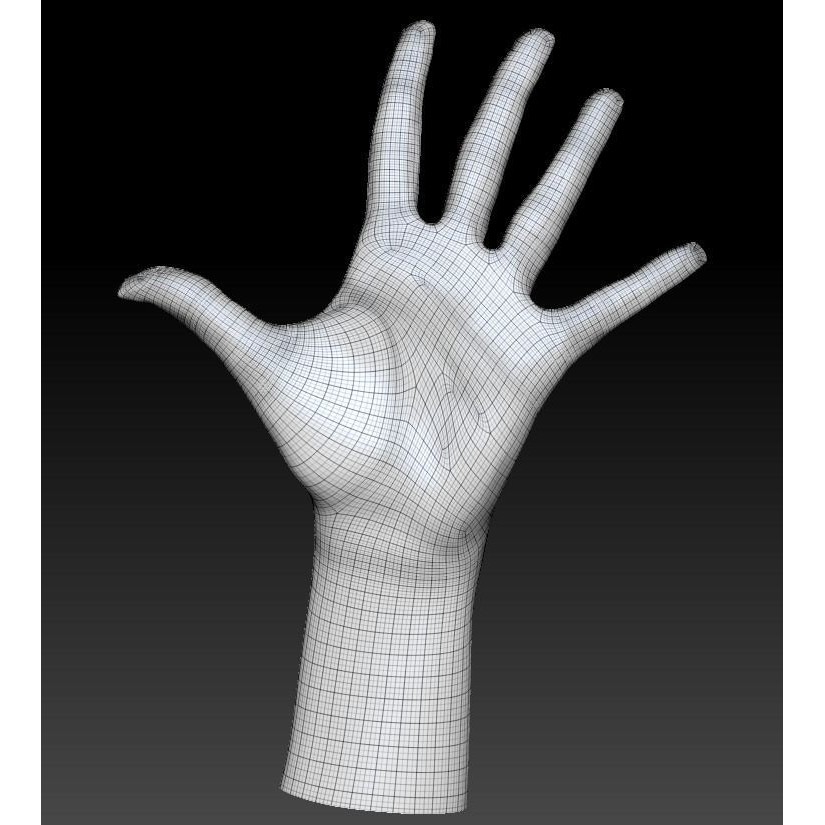 Female Hand 3D Model – Low Poly Realistic Asset, FBX & OBJ Formats - View 8