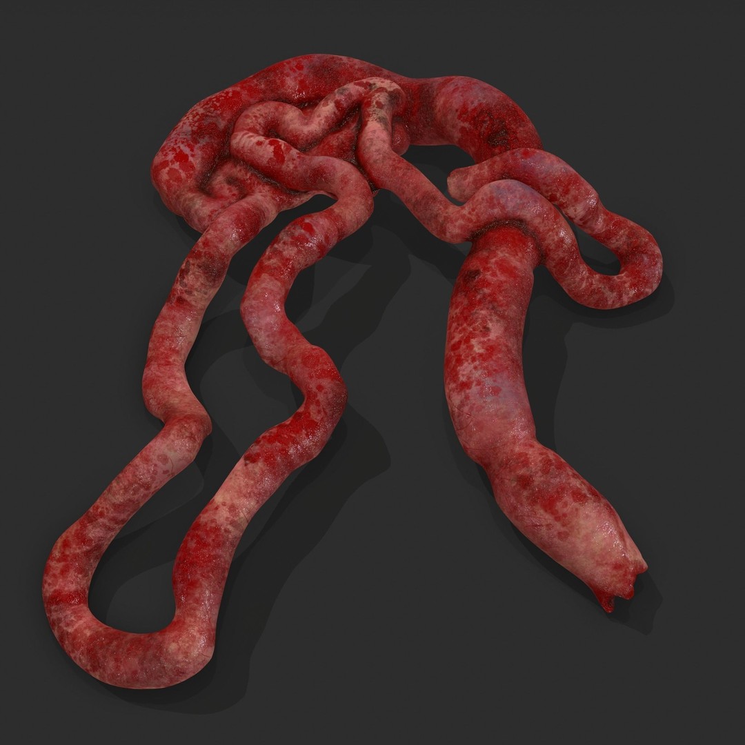 Intestines Pile 3D Model – Low Poly Horror Prop with PBR Textures - View 10