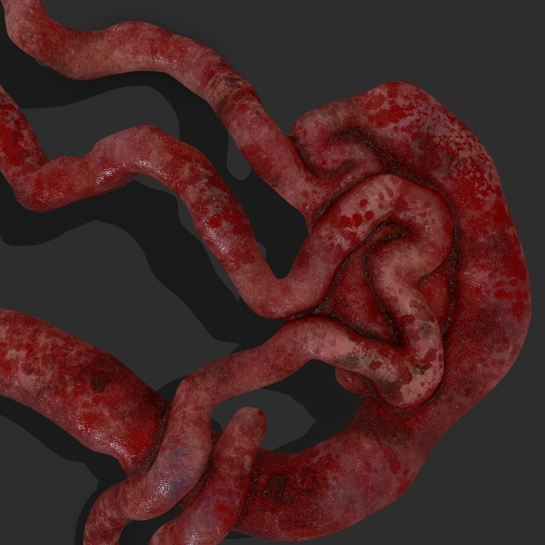 Intestines Pile 3D Model – Low Poly Horror Prop with PBR Textures - View 11