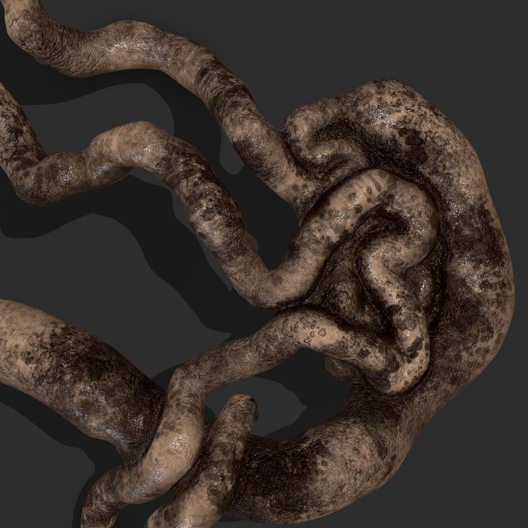 Intestines Pile 3D Model – Low Poly Horror Prop with PBR Textures - View 12