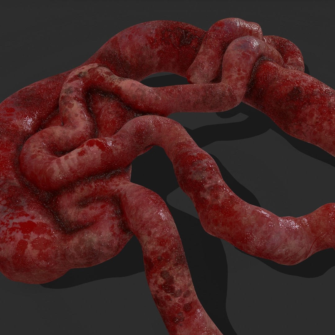 Intestines Pile 3D Model – Low Poly Horror Prop with PBR Textures - View 13