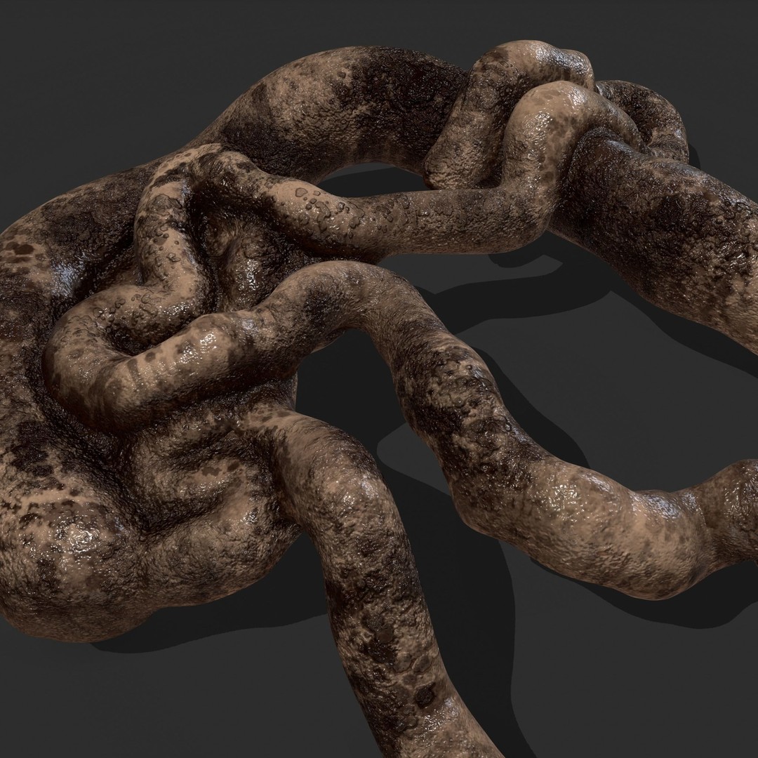 Intestines Pile 3D Model – Low Poly Horror Prop with PBR Textures - View 14