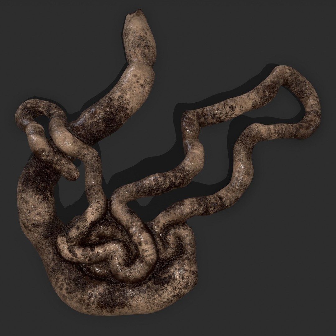Intestines Pile 3D Model – Low Poly Horror Prop with PBR Textures - View 15