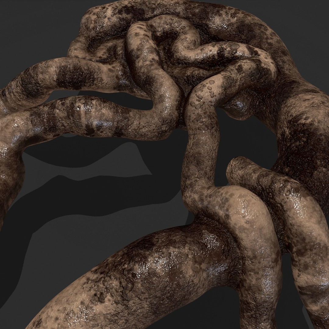 Intestines Pile 3D Model – Low Poly Horror Prop with PBR Textures - View 18
