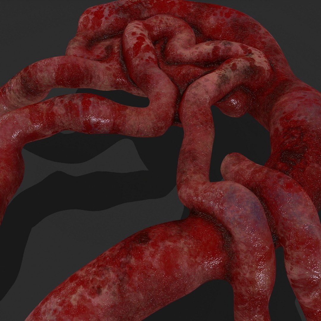 Intestines Pile 3D Model – Low Poly Horror Prop with PBR Textures - View 19