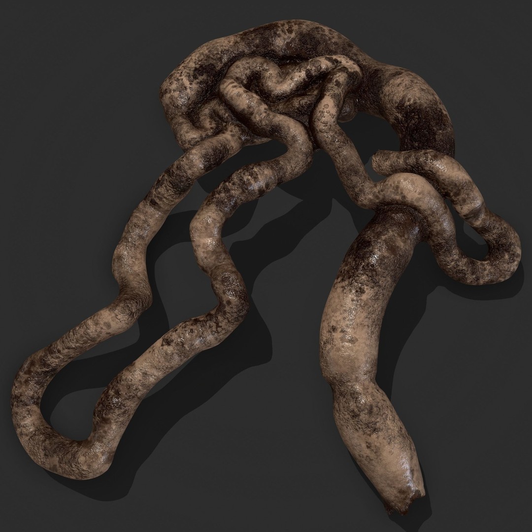 Intestines Pile 3D Model – Low Poly Horror Prop with PBR Textures - View 21