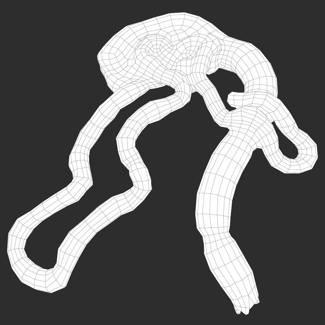 Intestines Pile 3D Model – Low Poly Horror Prop with PBR Textures - View 22