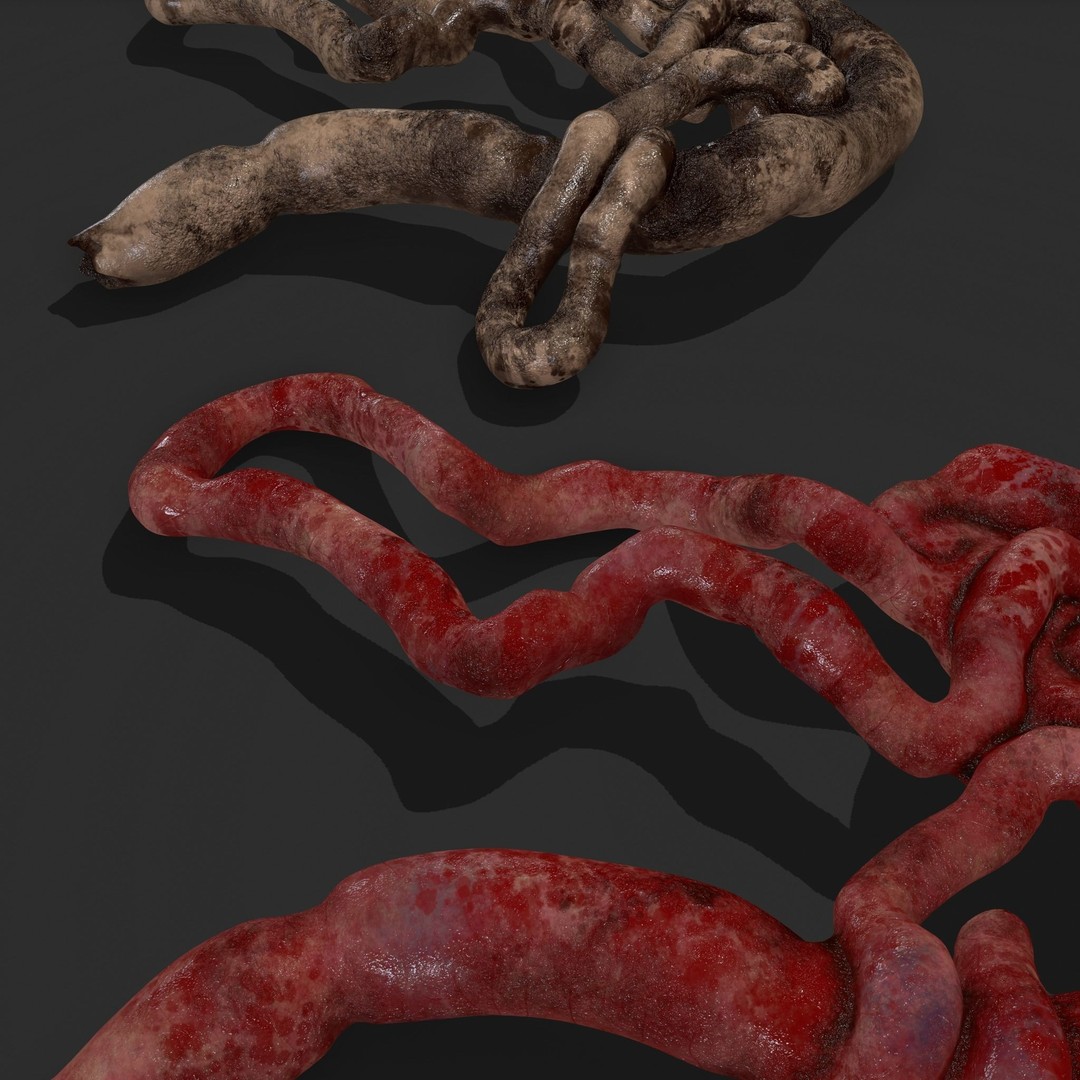 Intestines Pile 3D Model – Low Poly Horror Prop with PBR Textures - View 26