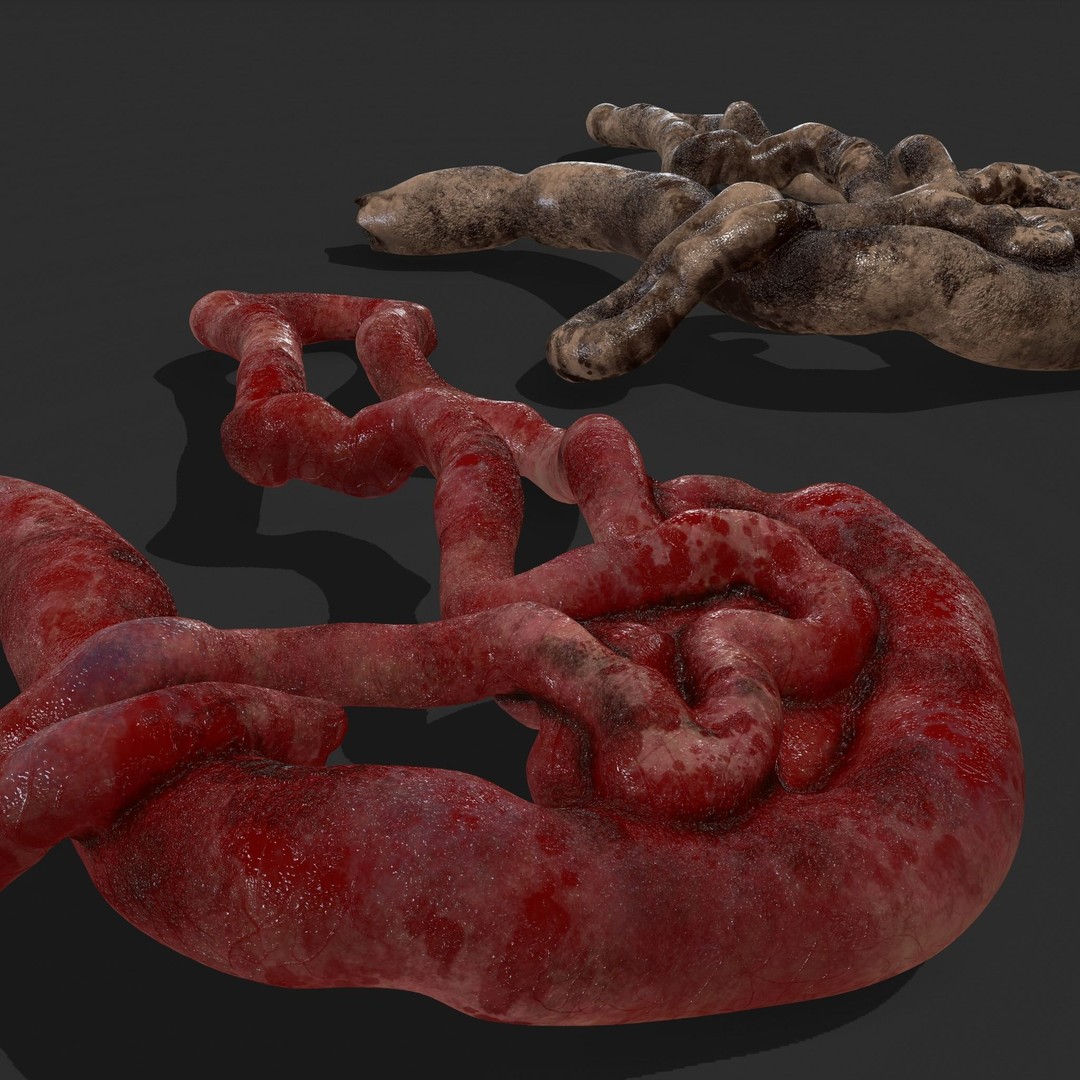 Intestines Pile 3D Model – Low Poly Horror Prop with PBR Textures - View 27