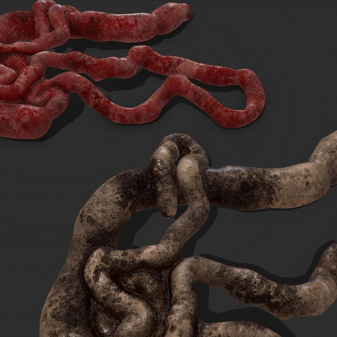 Intestines Pile 3D Model – Low Poly Horror Prop with PBR Textures - View 28