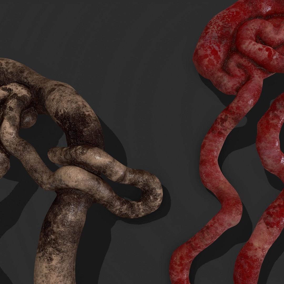 Intestines Pile 3D Model – Low Poly Horror Prop with PBR Textures - View 29