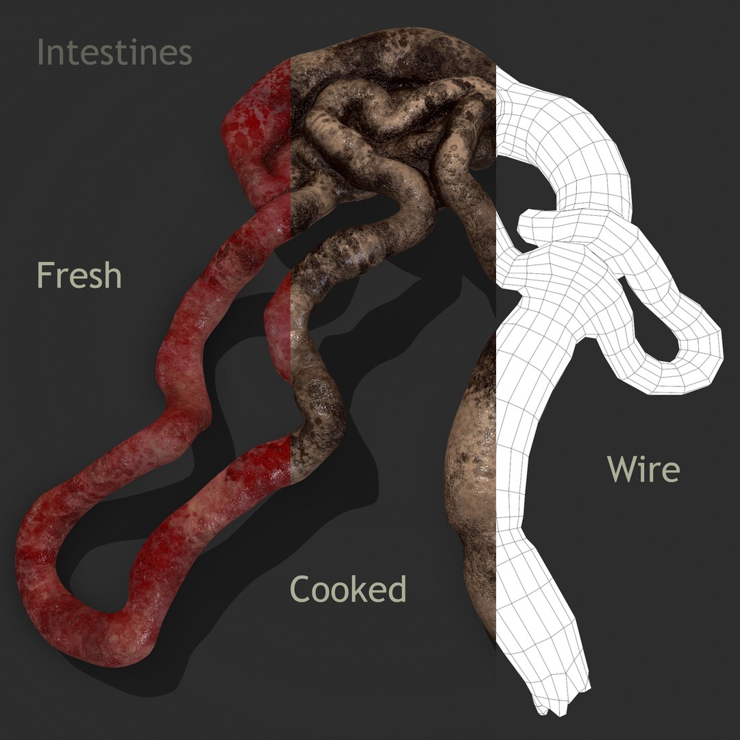 Intestines Pile 3D Model – Low Poly Horror Prop with PBR Textures - View 3
