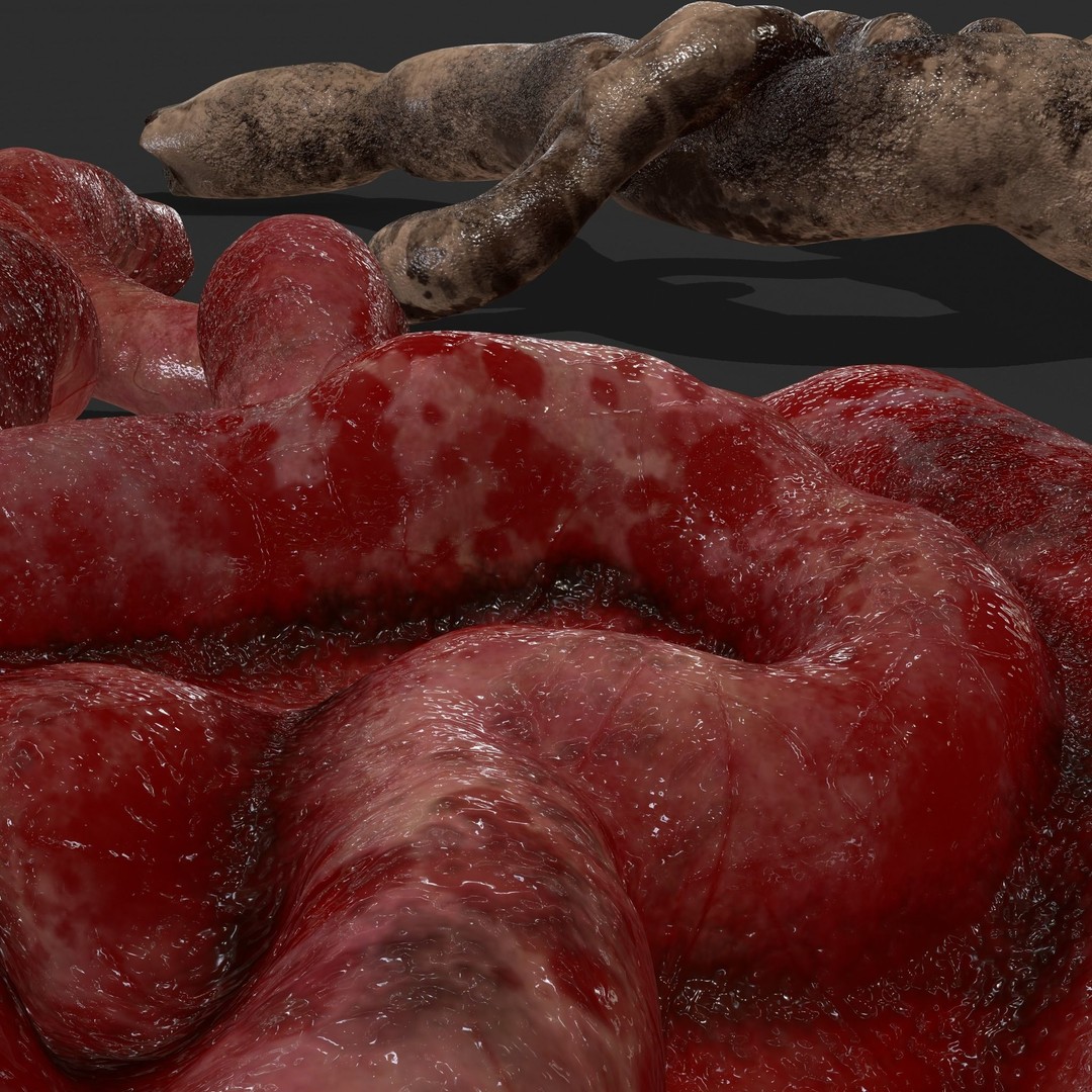 Intestines Pile 3D Model – Low Poly Horror Prop with PBR Textures - View 31