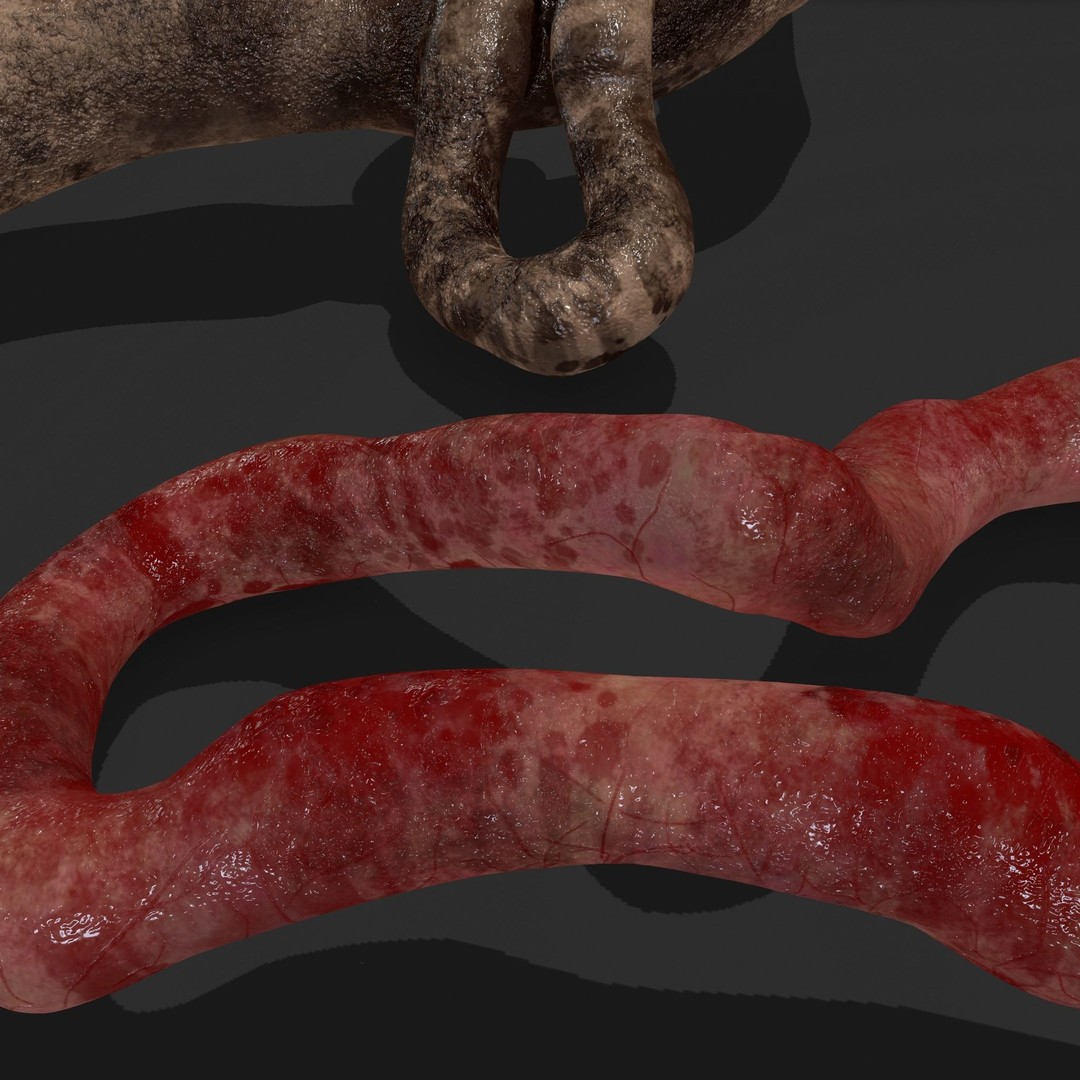 Intestines Pile 3D Model – Low Poly Horror Prop with PBR Textures - View 33