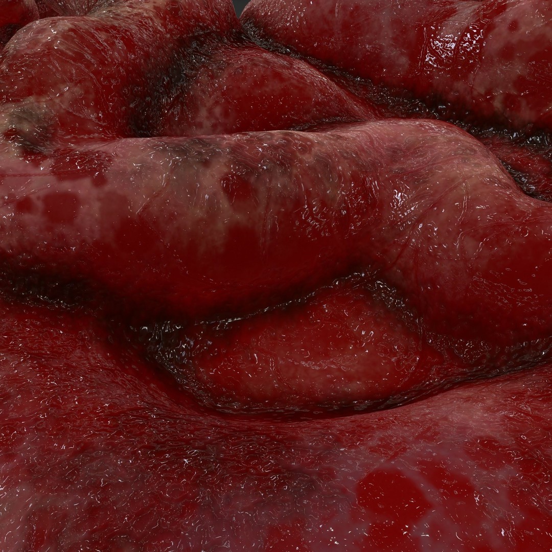Intestines Pile 3D Model – Low Poly Horror Prop with PBR Textures - View 34