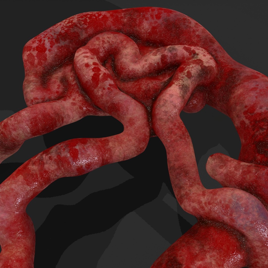 Intestines Pile 3D Model – Low Poly Horror Prop with PBR Textures - View 38