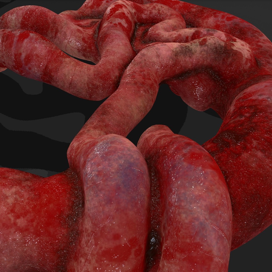 Intestines Pile 3D Model – Low Poly Horror Prop with PBR Textures - View 39
