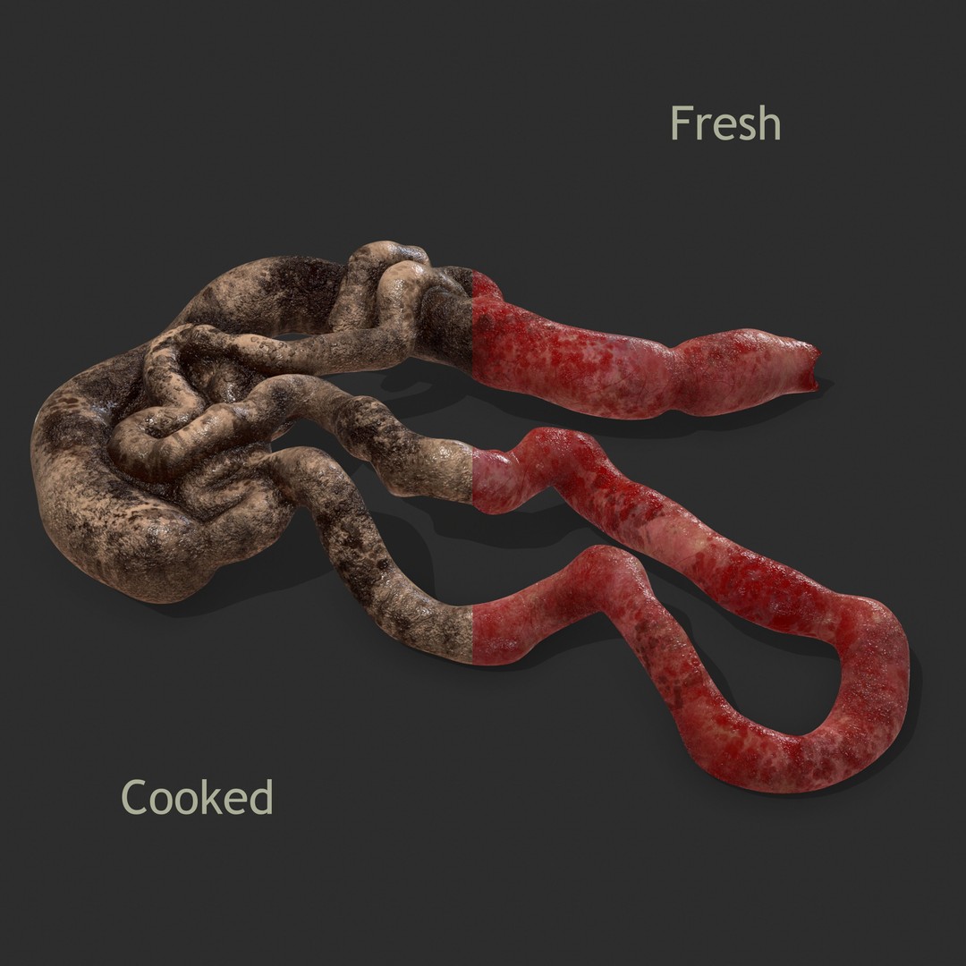 Intestines Pile 3D Model – Low Poly Horror Prop with PBR Textures - View 4