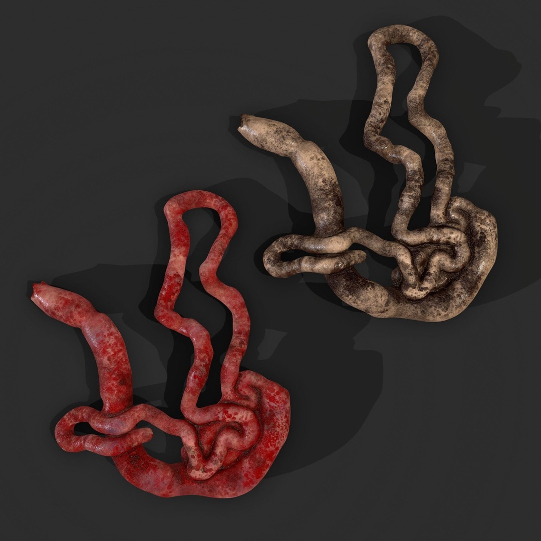 Intestines Pile 3D Model – Low Poly Horror Prop with PBR Textures - View 41