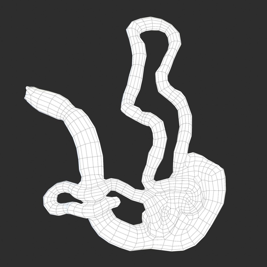 Intestines Pile 3D Model – Low Poly Horror Prop with PBR Textures - View 43