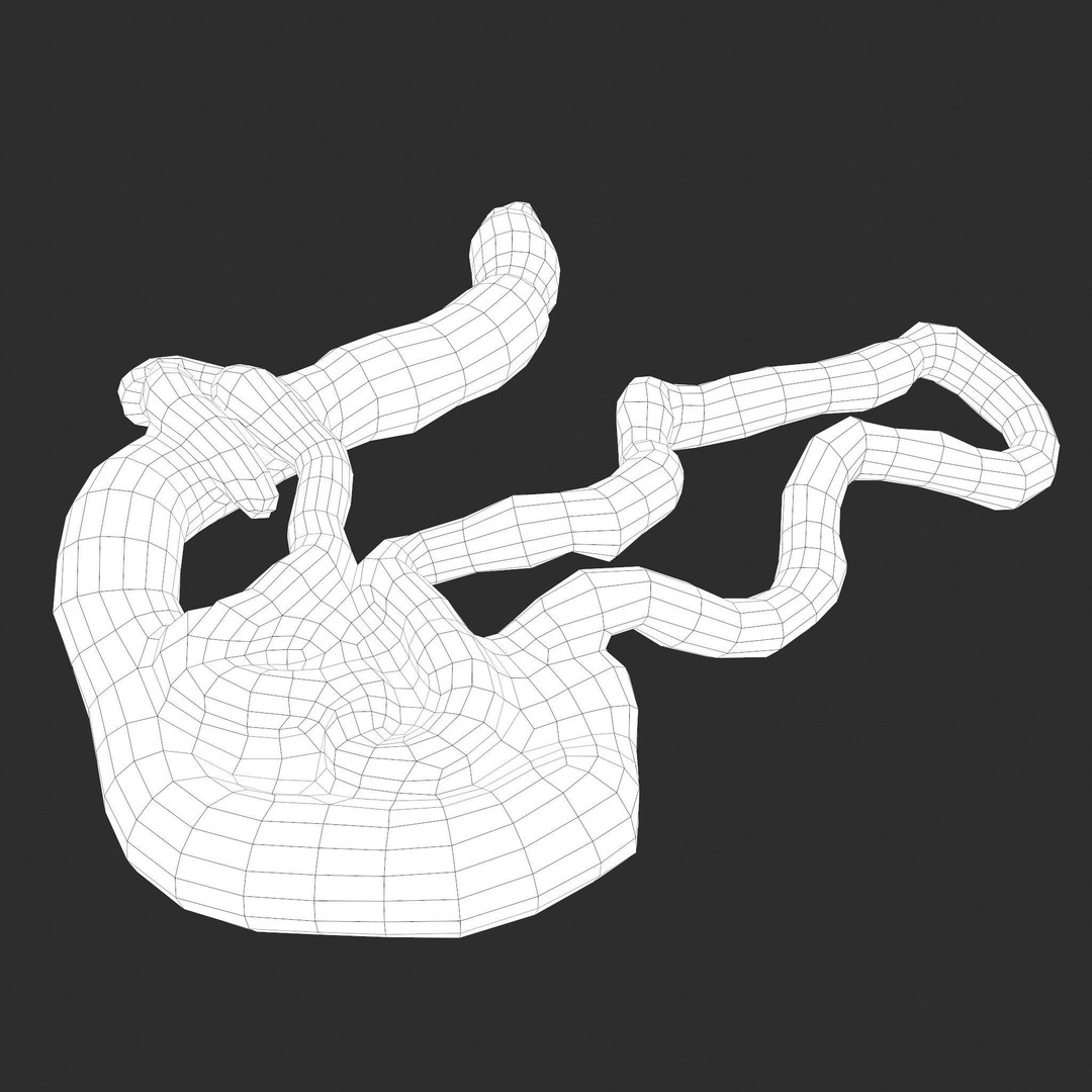 Intestines Pile 3D Model – Low Poly Horror Prop with PBR Textures - View 44