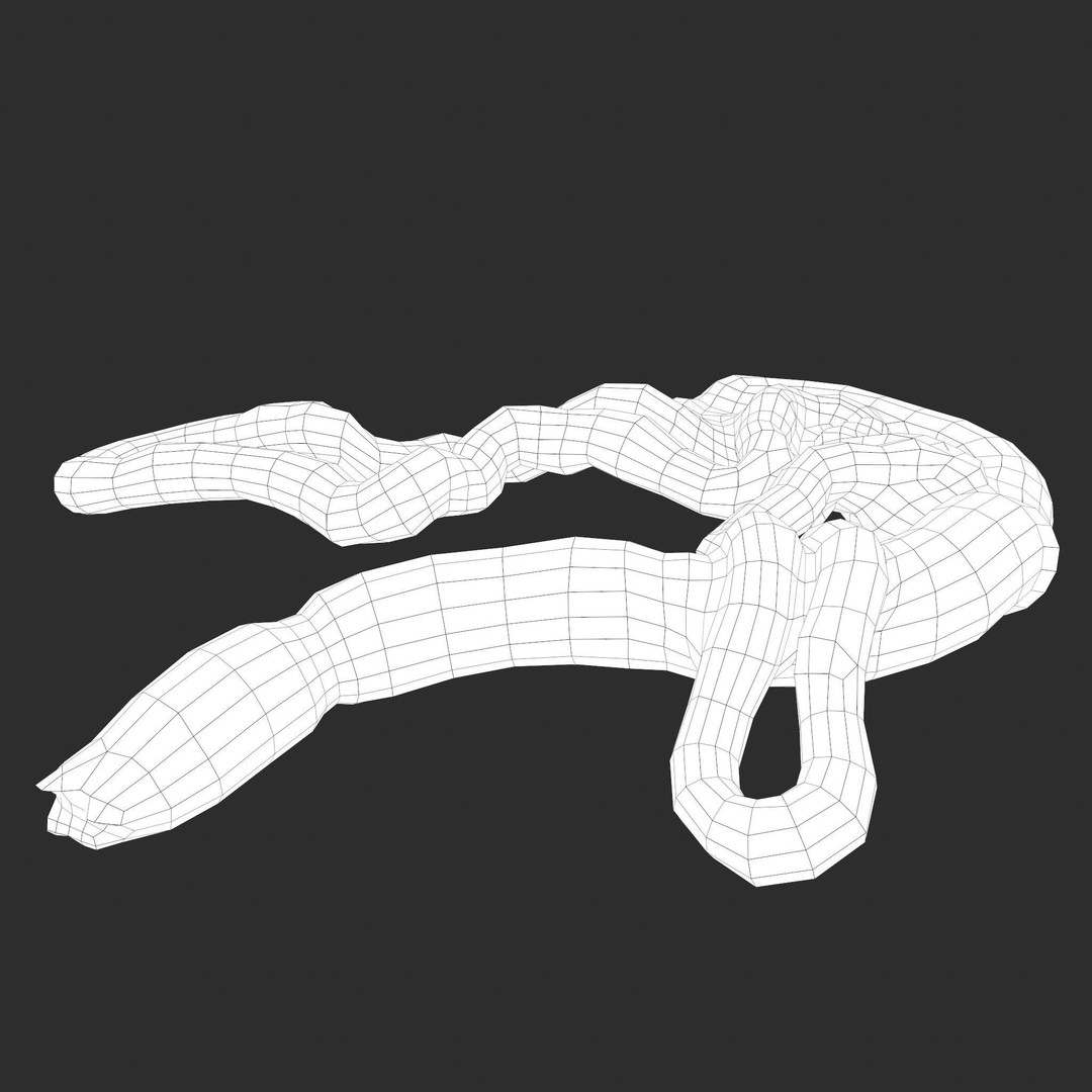 Intestines Pile 3D Model – Low Poly Horror Prop with PBR Textures - View 46