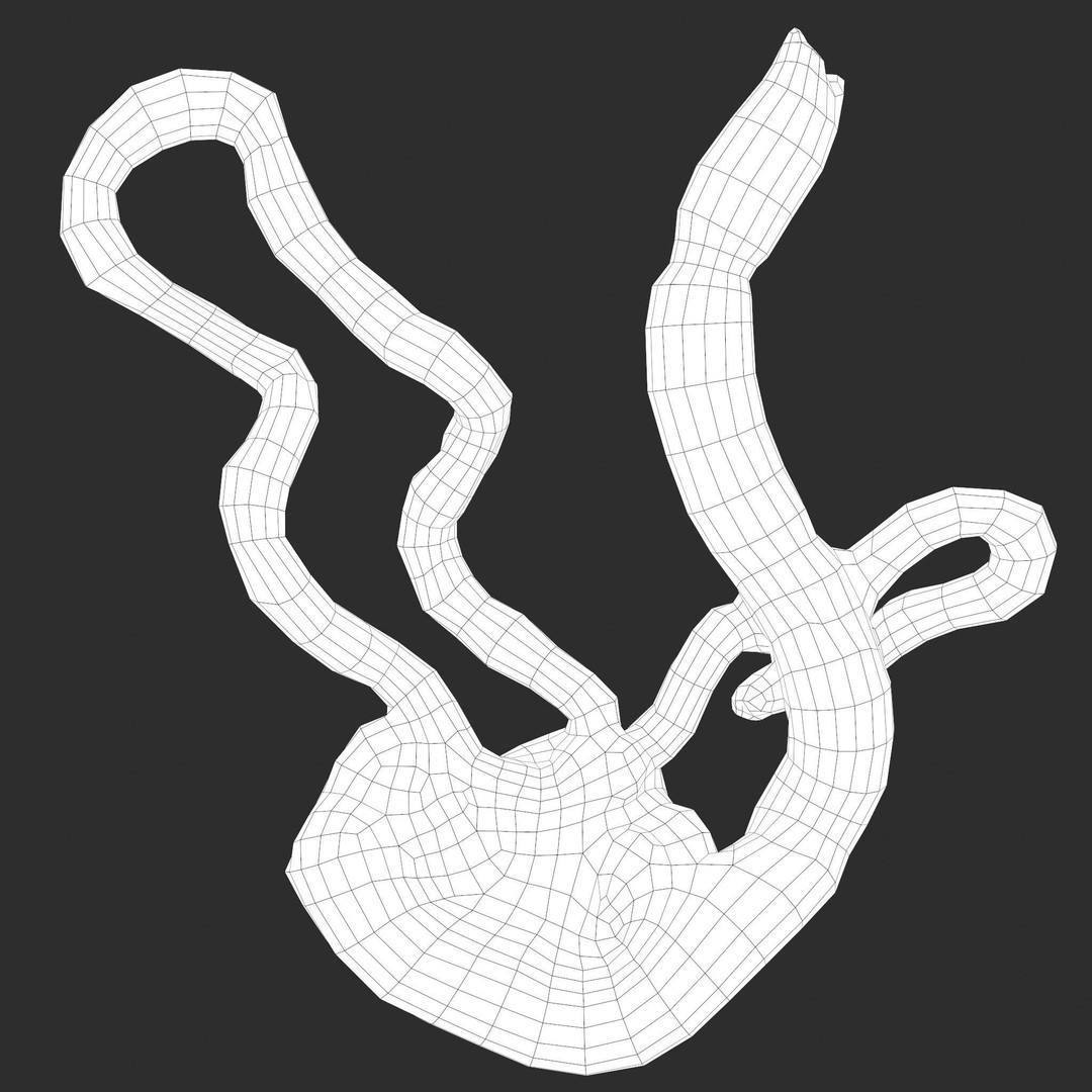 Intestines Pile 3D Model – Low Poly Horror Prop with PBR Textures - View 49
