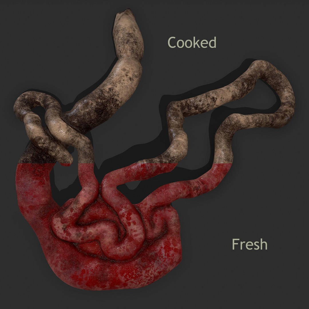 Intestines Pile 3D Model – Low Poly Horror Prop with PBR Textures - View 5
