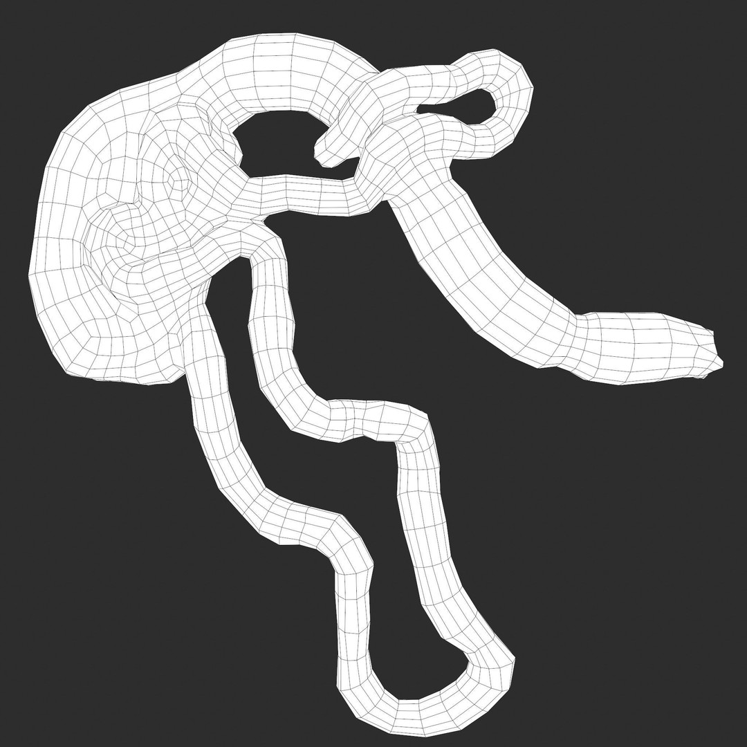 Intestines Pile 3D Model – Low Poly Horror Prop with PBR Textures - View 53