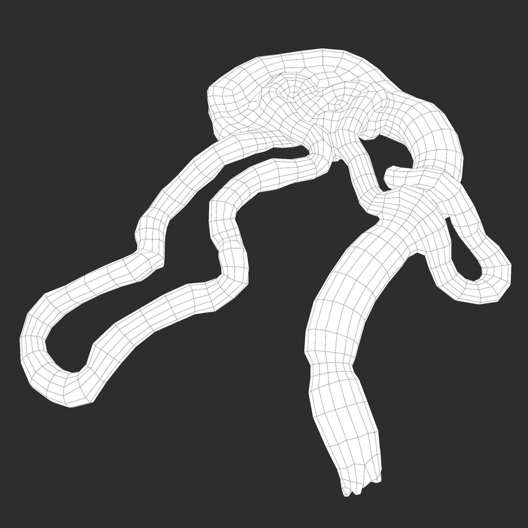 Intestines Pile 3D Model – Low Poly Horror Prop with PBR Textures - View 54