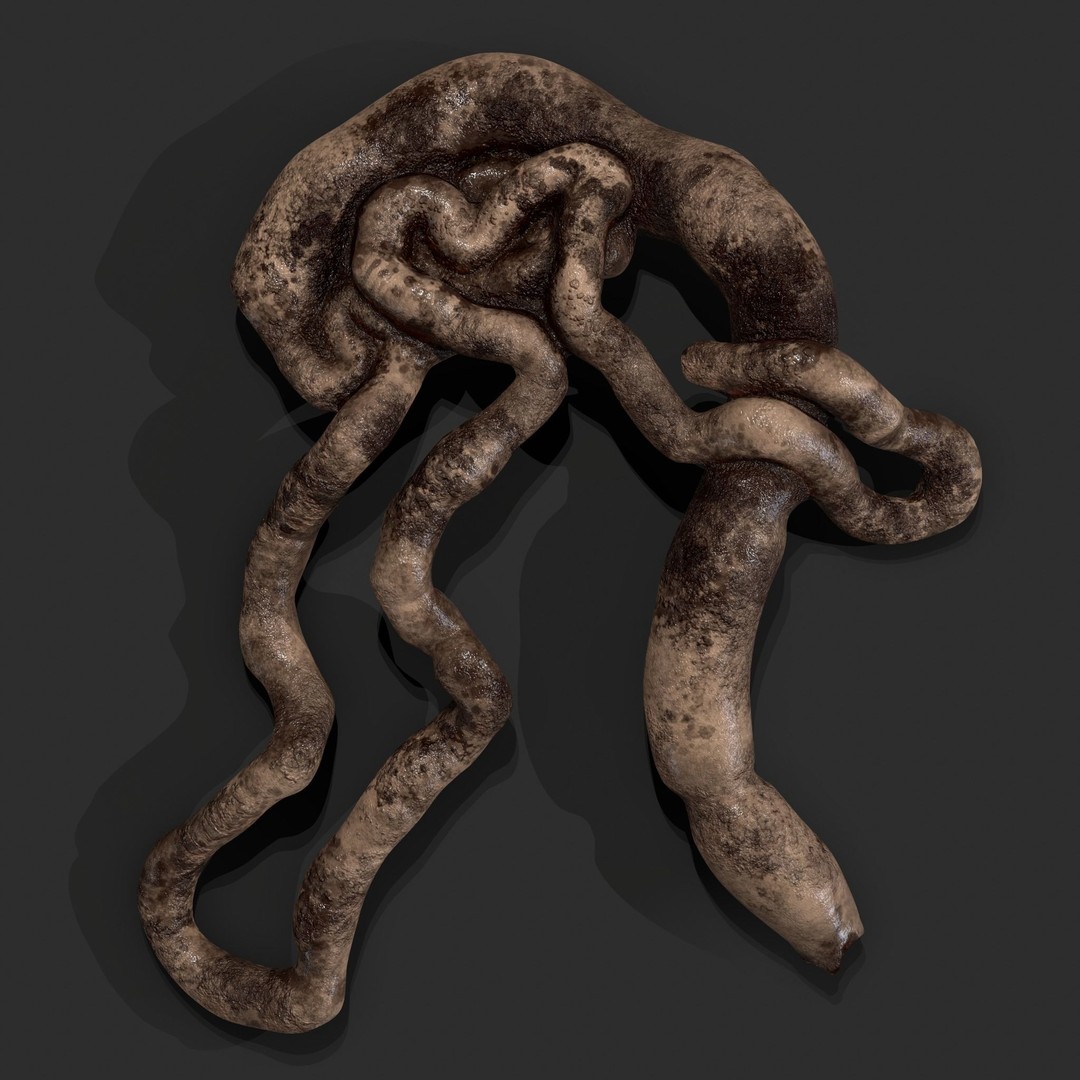 Intestines Pile 3D Model – Low Poly Horror Prop with PBR Textures - View 7