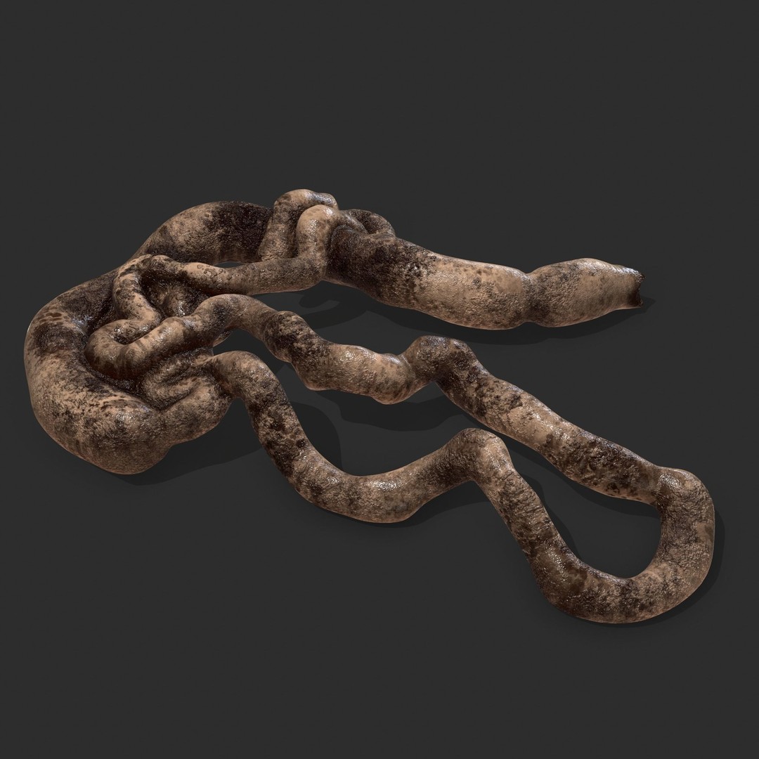 Intestines Pile 3D Model – Low Poly Horror Prop with PBR Textures - View 9