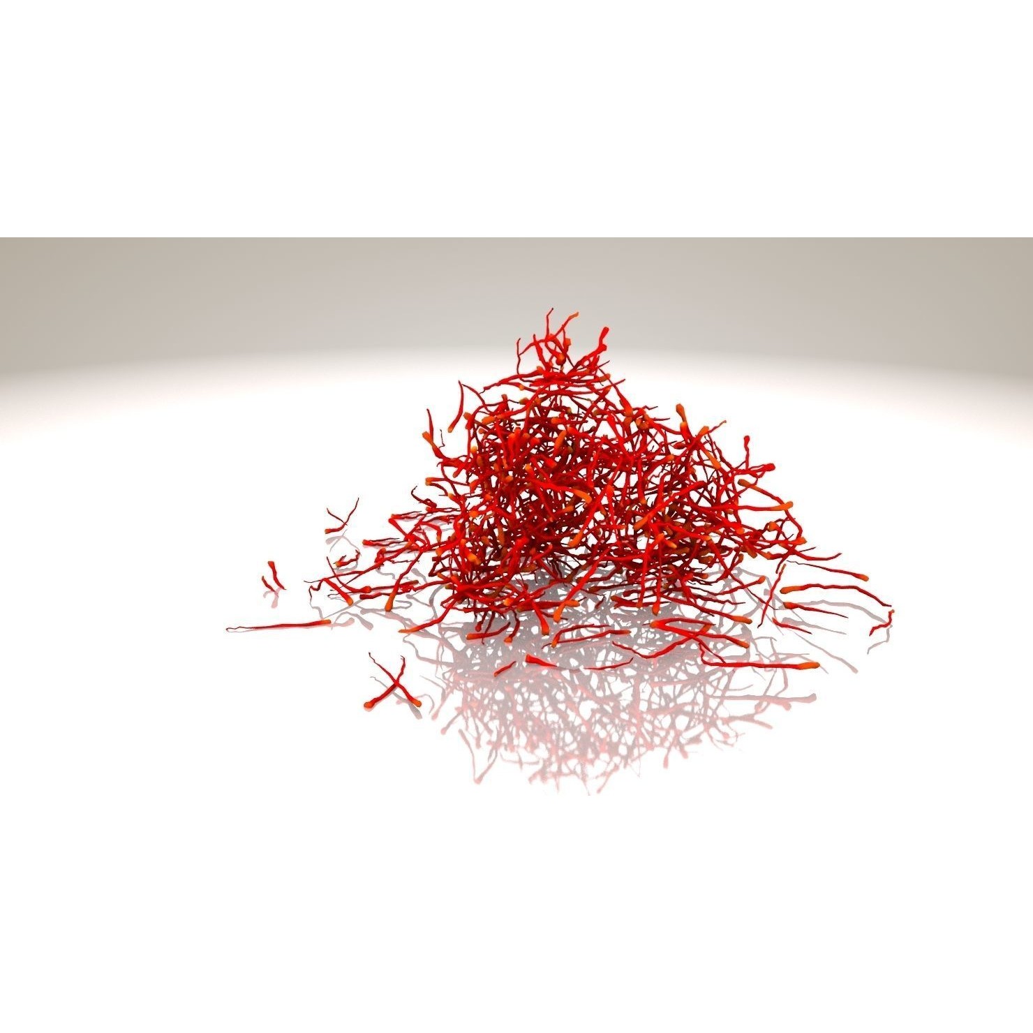 Crocus Plant Parts with Saffron - Low-Poly Game-Ready 3D Model - View 11