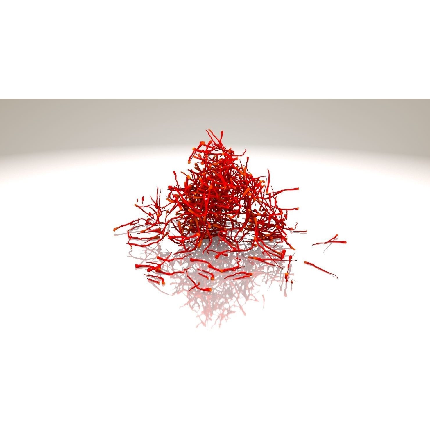 Crocus Plant Parts with Saffron - Low-Poly Game-Ready 3D Model - View 13