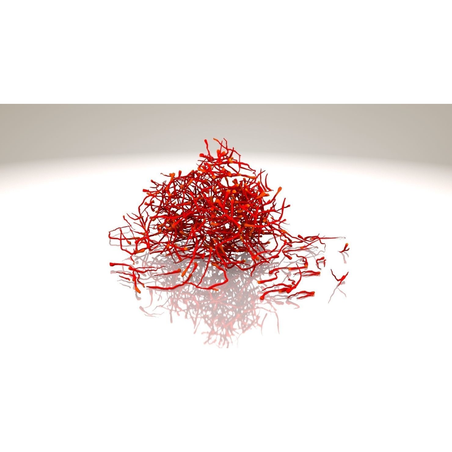 Crocus Plant Parts with Saffron - Low-Poly Game-Ready 3D Model - View 14
