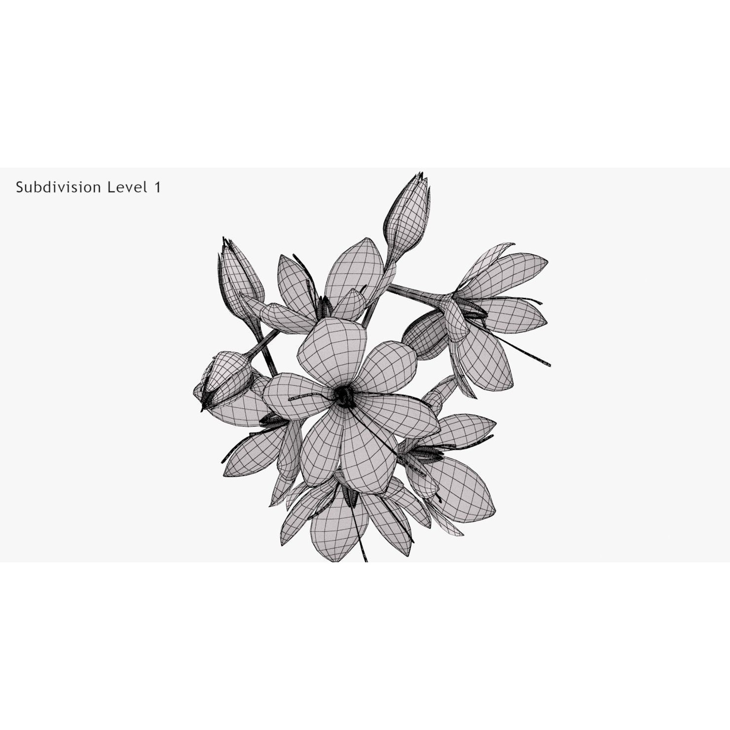 Crocus Plant Parts with Saffron - Low-Poly Game-Ready 3D Model - View 21