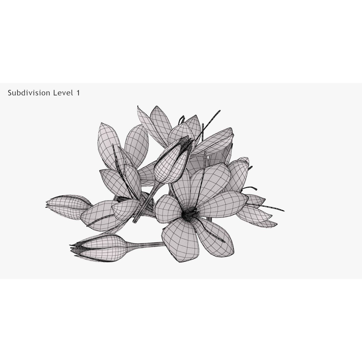 Crocus Plant Parts with Saffron - Low-Poly Game-Ready 3D Model - View 23