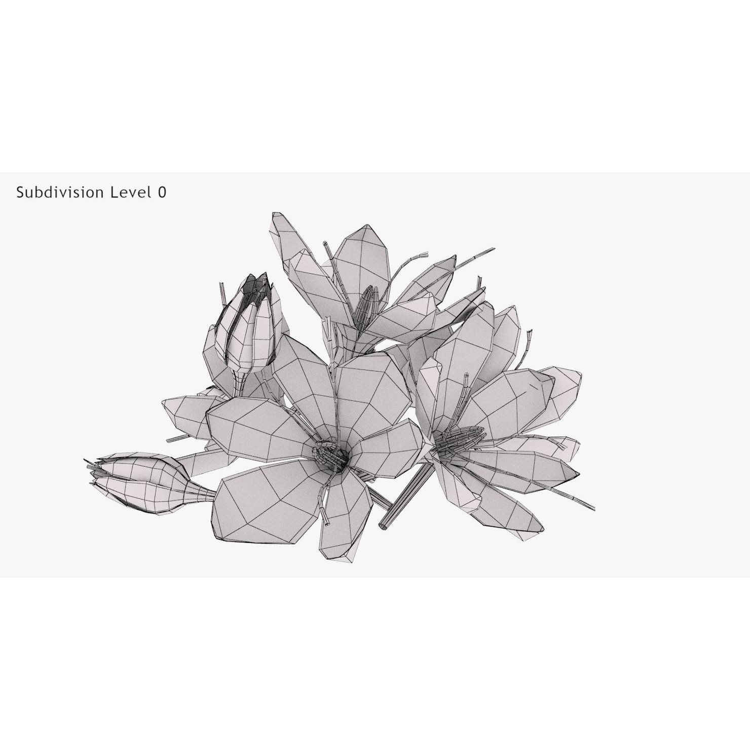 Crocus Plant Parts with Saffron - Low-Poly Game-Ready 3D Model - View 24