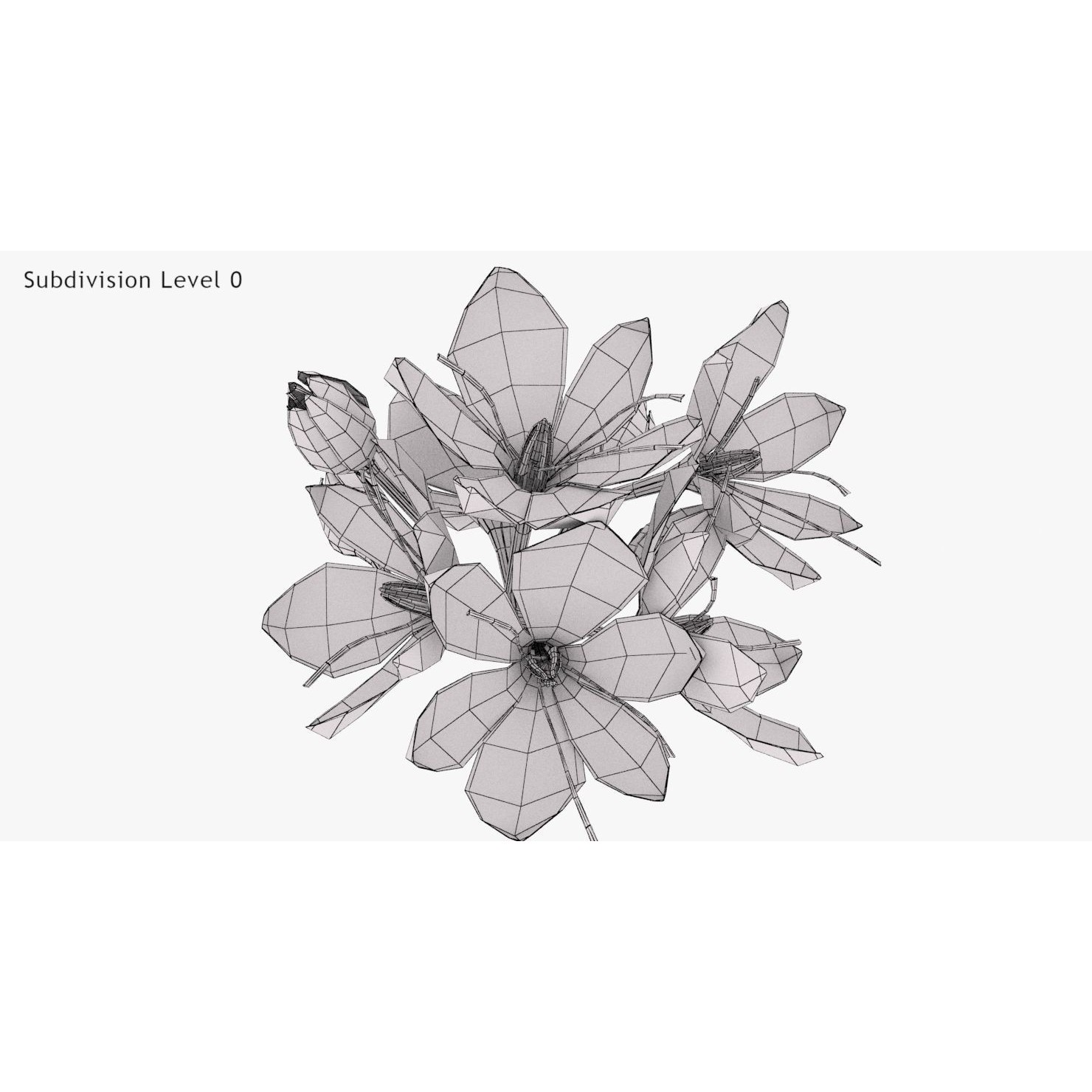 Crocus Plant Parts with Saffron - Low-Poly Game-Ready 3D Model - View 25