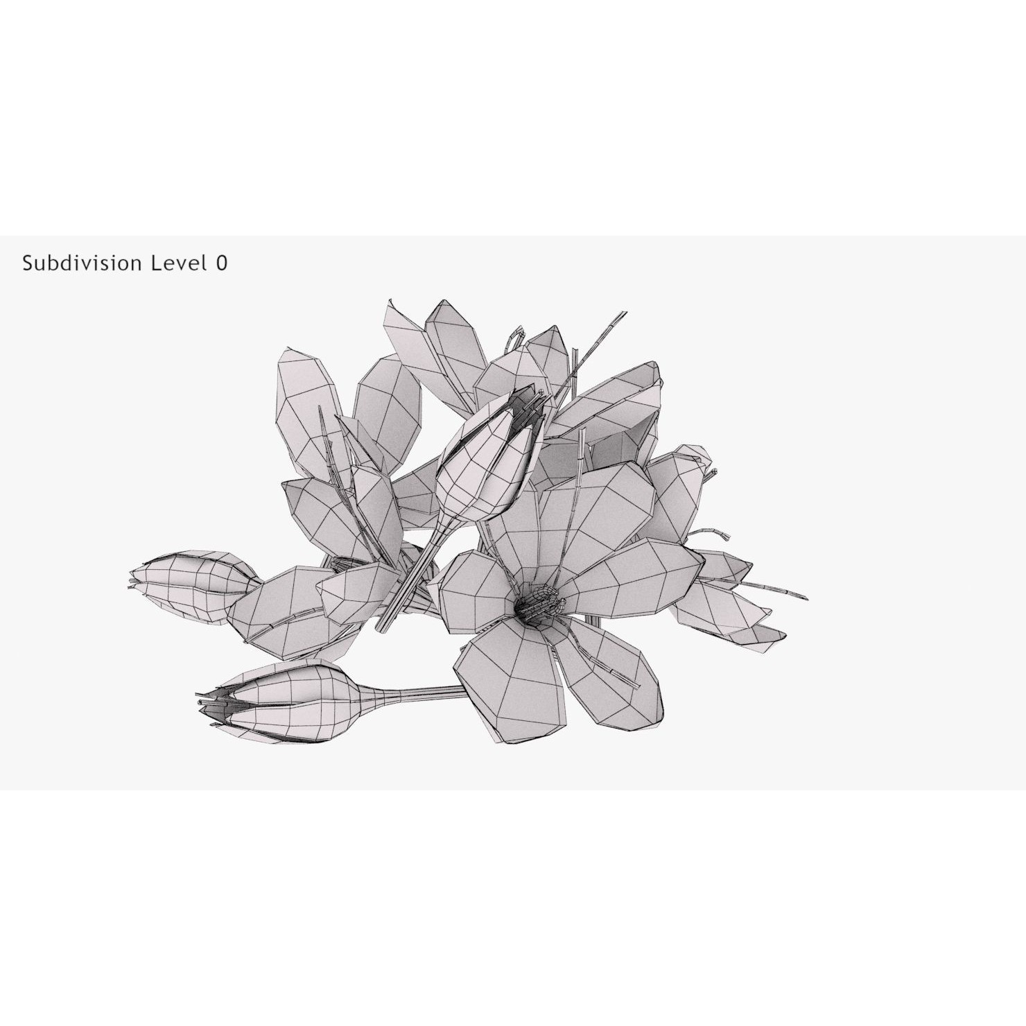 Crocus Plant Parts with Saffron - Low-Poly Game-Ready 3D Model - View 26