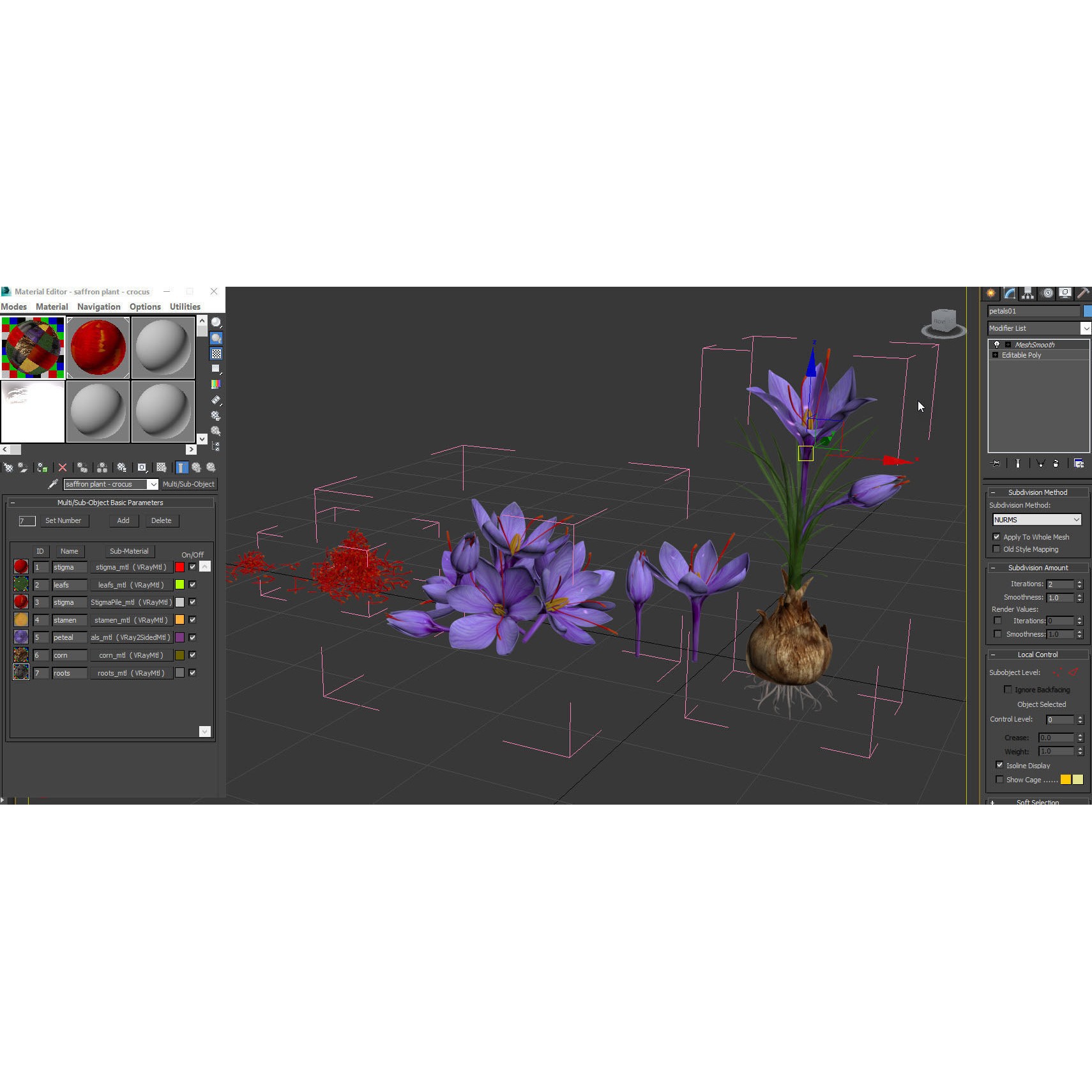 Crocus Plant Parts with Saffron - Low-Poly Game-Ready 3D Model - View 35