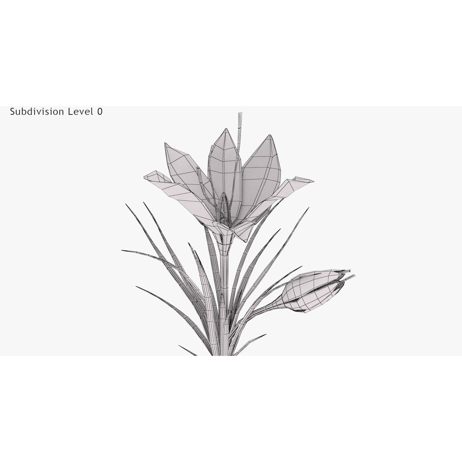 Crocus Plant Parts with Saffron - Low-Poly Game-Ready 3D Model - View 8
