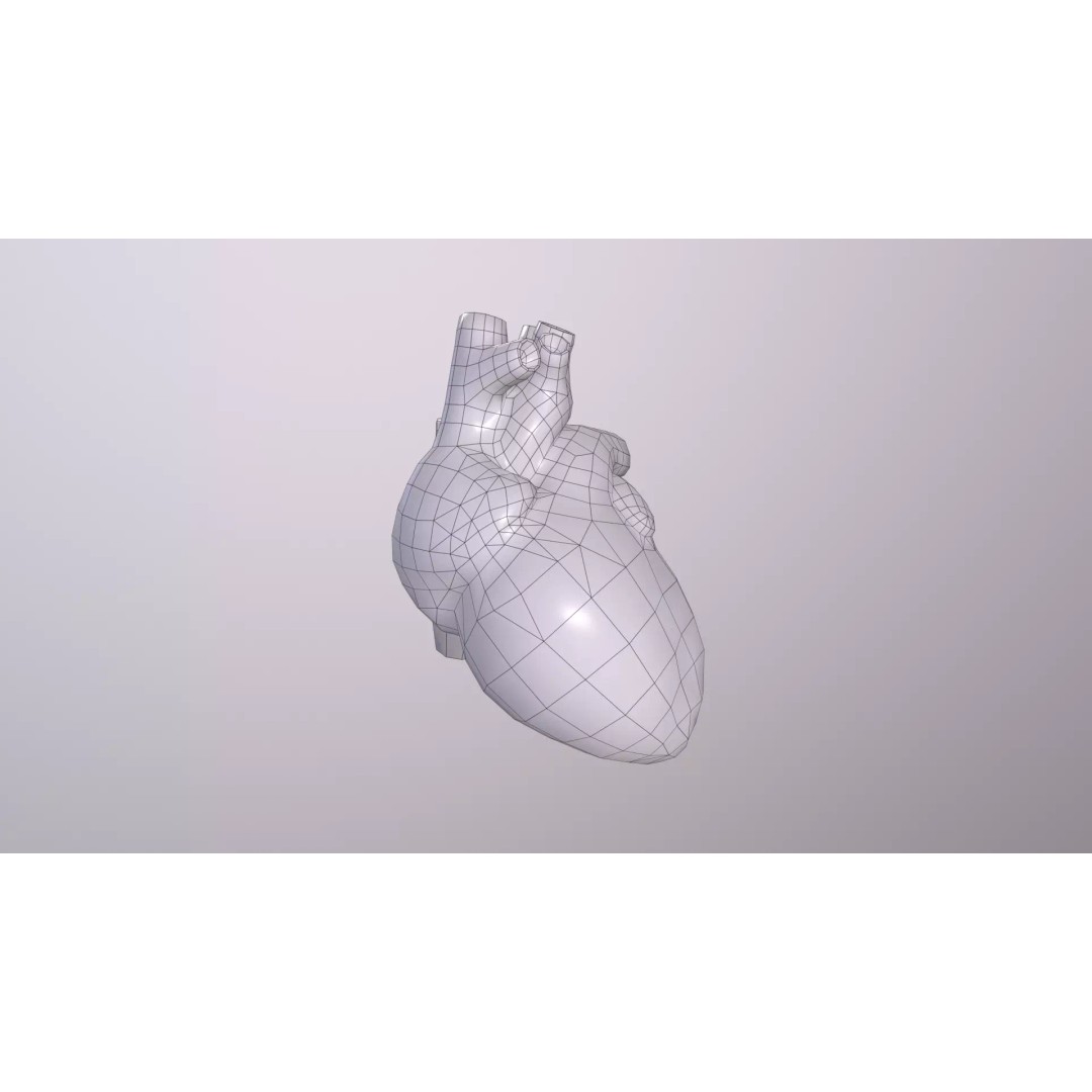 Heart 3D Model – Low Poly Anatomy Asset for VR/AR, FBX, OBJ