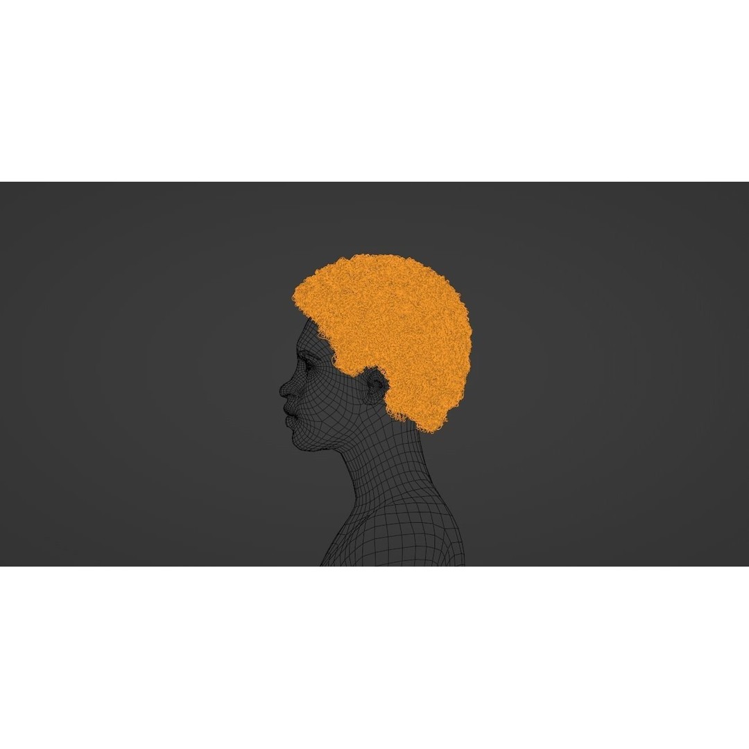 Black Afro 3D Model – Hair Asset with Particle System, Blender