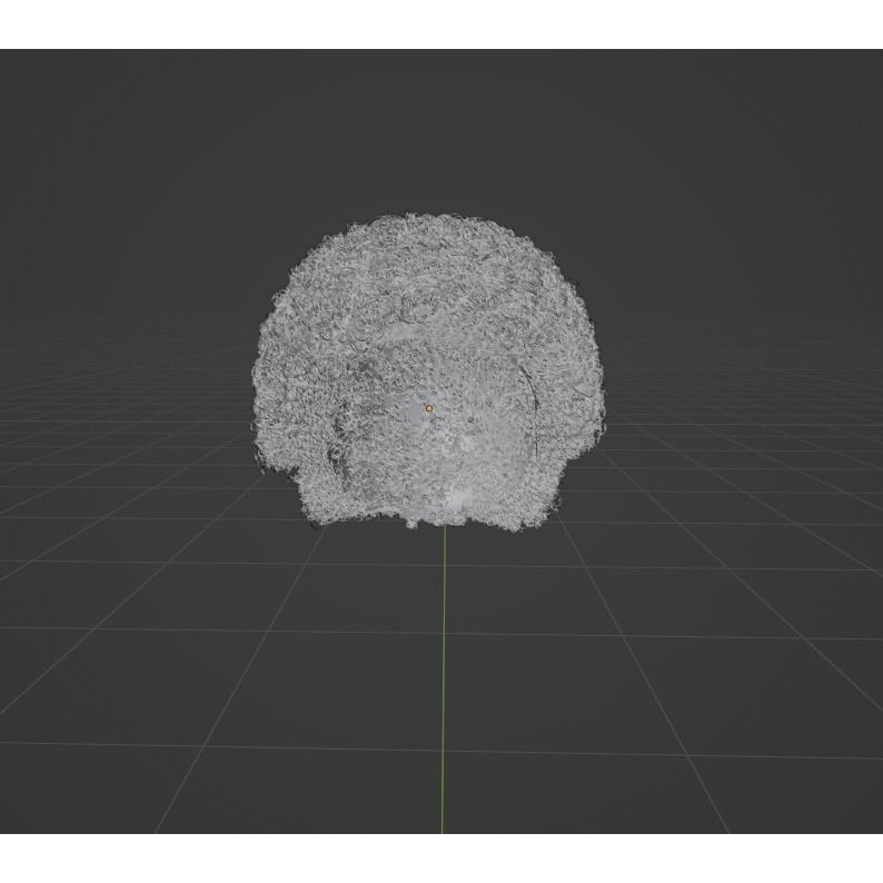 Black Afro 3D Model – Hair Asset with Particle System, Blender - View 11