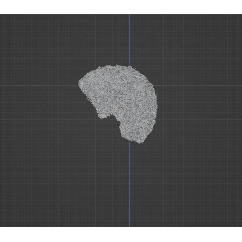 Black Afro 3D Model – Hair Asset with Particle System, Blender - View 12