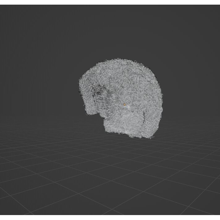 Black Afro 3D Model – Hair Asset with Particle System, Blender - View 13